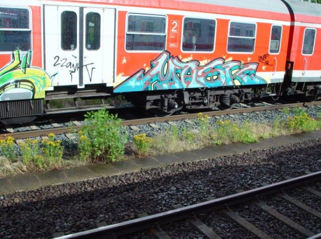 На Мукачівському вокзалі потяг розписали графіті