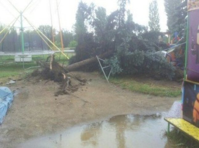 Внаслідок сильного вітру в Ужгороді на дитячий майданчик "Рошен" впало дерево
