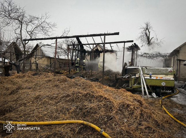 У селі на Берегівщині гасили пожежу