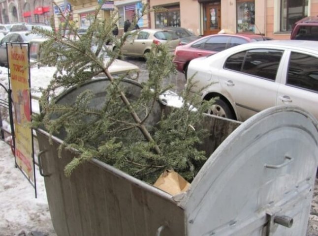 Влада Ужгорода просить виносити новорічні ялинки на контейнерні сміттєві майданчики