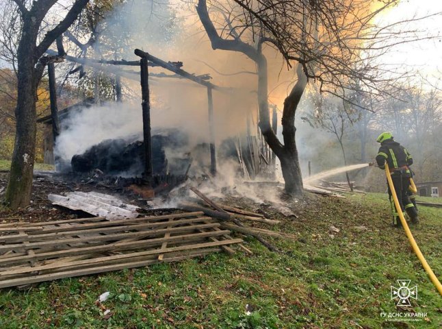 Рятувальники показали наслідки пожежі в селі на Тячівщині