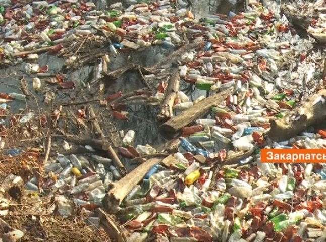 Пластик, меблі і туші тварин: річка Боржава на межі екологічної катастрофи
