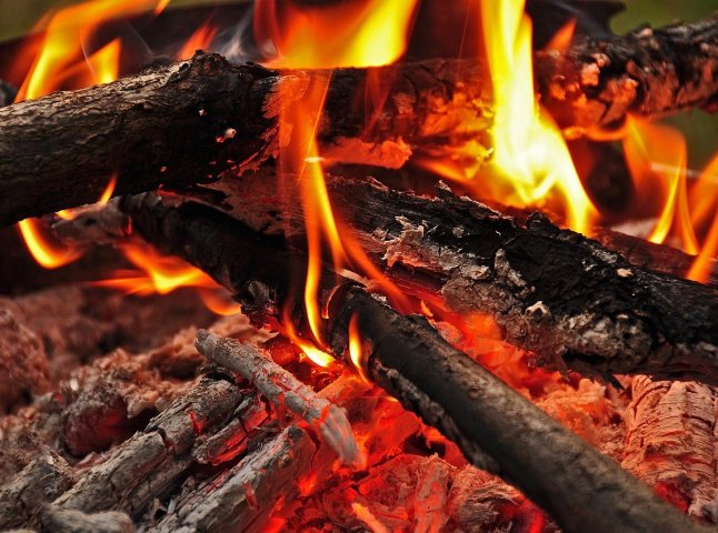 Шашлики на природі можуть обійтись дорого: який штраф за відпочинок Який штраф за багаття на природі