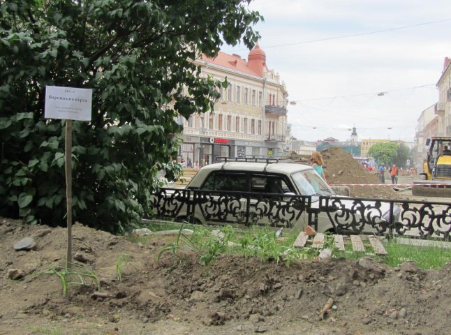 "Варишська керта": на площі Петефі в Ужгороді висадили помідори та цибулю