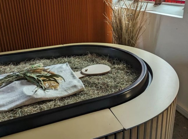 Не кремація і без традиційної труни: у Німеччині ховатимуть по-новому