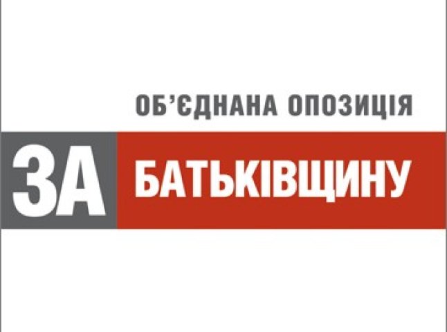 Закарпатська «Батьківщина» підбила підсумки виборів