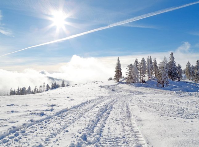 Коротке послаблення морозів на Закарпатті: синоптики попередили про ожеледицю