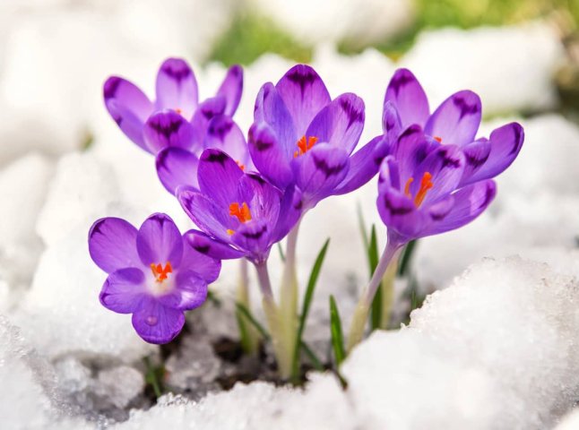 Якою буде весна 2026 року