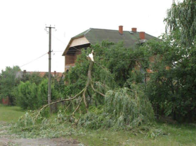 Вчорашній буревій наробив чимало лиха на Берегівщині (ФОТО)