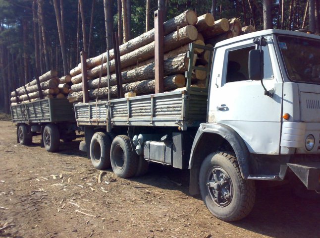 У лісах Закарпаття можуть обмежити рух транспортних засобів 