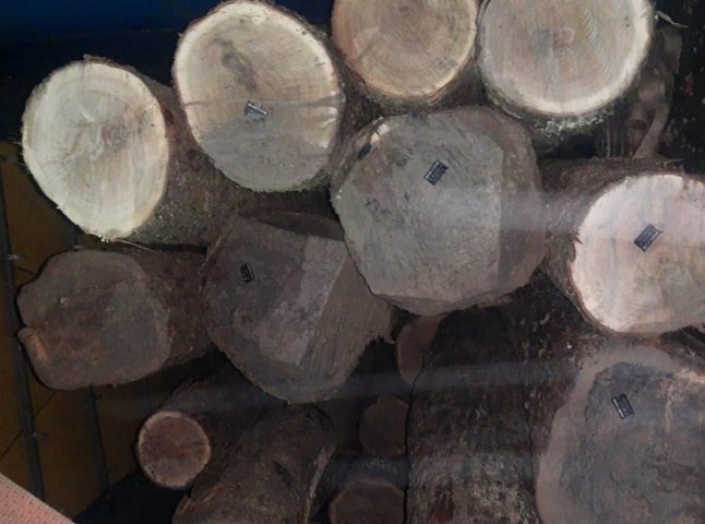 Поліція Рахівщини перевіряє легальність деревини, яку перевозили територією району