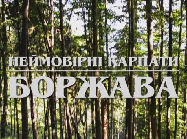 Чергове вражаюче відео про Карпати: киянин відзняв ролик про полонину Боржава
