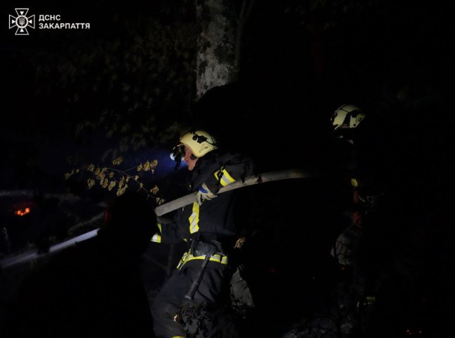 Небайдужі проїжджі врятували кафе на Берегівщині від повного знищення