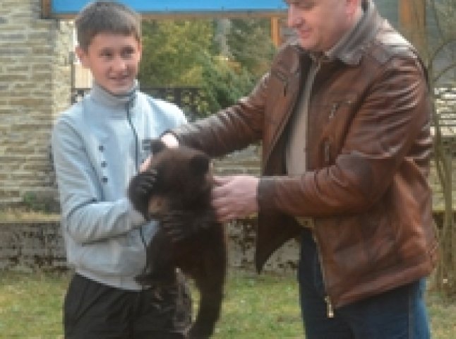На Тячівщині хлопчина врятував мале ведмежа від зграї собак