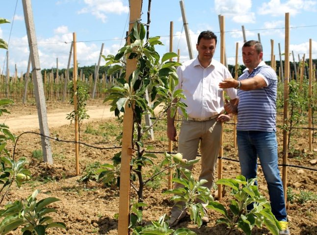 Голова облради приємно вражений розвитком відвіданих ним фермерських господарств на Ужгородщині
