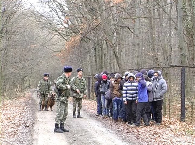 За одну ніч чопські прикордонники затримали 35 незаконних мігрантів