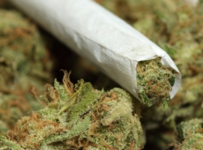 За одну добу мукачівські правоохоронці затримали трьох любителів марихуани