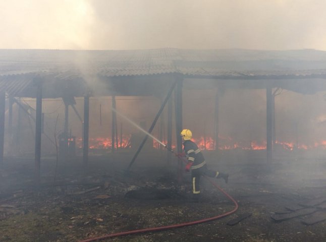 Рятувальники опублікували фото з місця масштабної пожежі у Виноградові