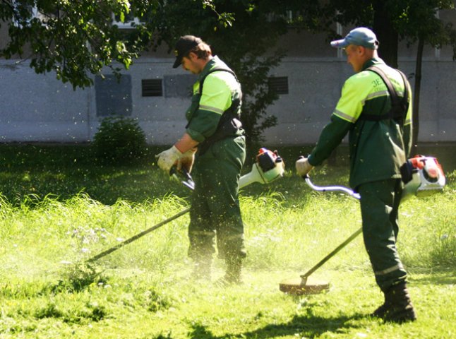 Мукачівська міська рада просить людей долучитися до проведення покосу зелених зон