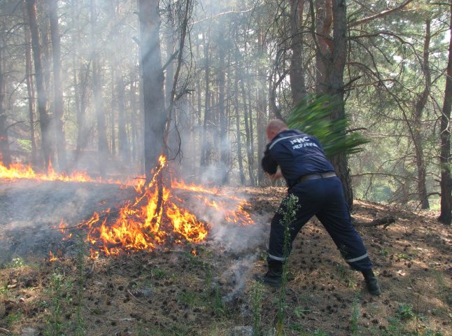 Оперативно-рятувальна служба Закарпатської області попереджає про високу загрозу виникнення пожеж