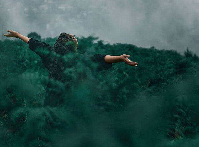 Вчені розкрили реальну формулу успіху — як це працює Вчені розкрили реальну формулу успіху — як це працює