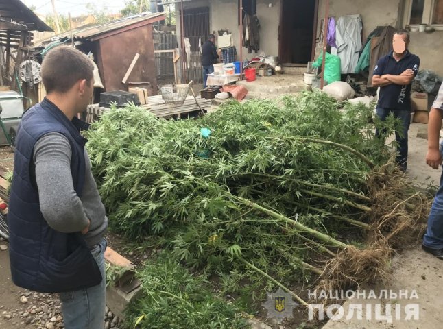 Поліція провела обшуки в одному з сіл Виноградівського району