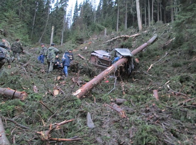 З’явилось фото з місця трагедії, в якій дерево вбило 49-річного працівника лісового господарства (ФОТО)