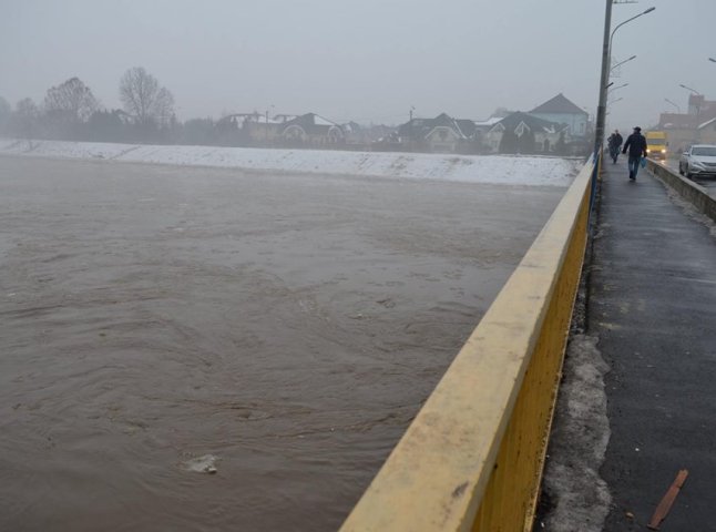 Рівень води у річці Латориця в межах Мукачева впав на 85 сантиметрів