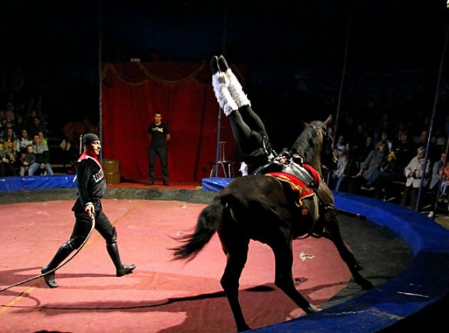 У Мукачеві покажуть циркову програму "Імперіал шоу"