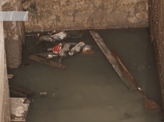 Підвал багатоповерхівки на Собранецькій в Ужгороді повністю заливають каналізаційні стоки