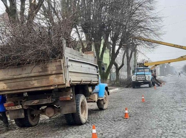 У Мукачеві видалять аварійно-небезпечні дерева