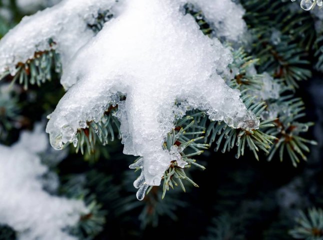 Коли перший сніг