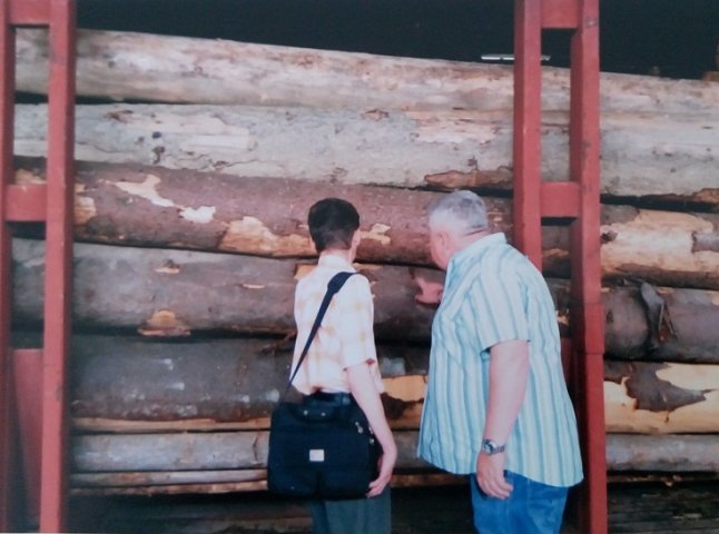 Абсолютна більшість фірм закуповують в Україні кругляк під виглядом "паливної" деревини