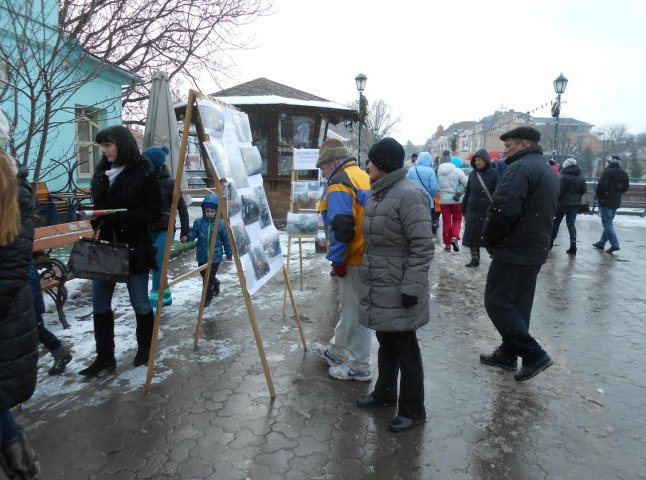 В центрі Ужгорода показали роботу закарпатських волонтерів (ФОТО)
