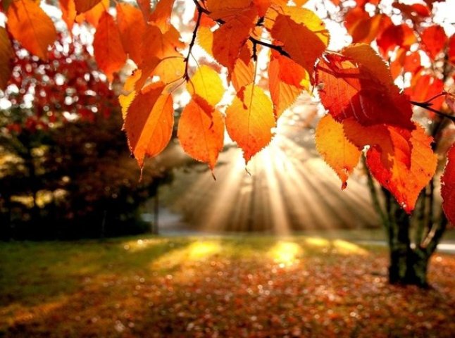 Синоптики озвучили прогноз погоди на осінь: "стабільний" вересень, заморозки у жовтні та сюрприз на листопад