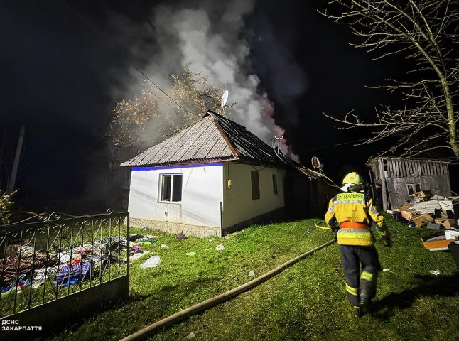 Збіглися люди: у закарпатському селі місцеві жителі разом із рятувальниками гасили пожежу