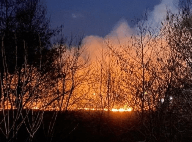 На Іршавщині вирує пожежа