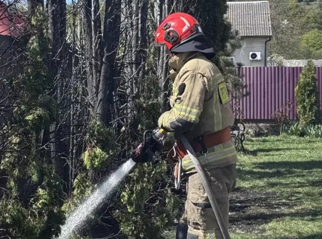 Пильність сусідки дала змогу загасити пожежу, яка швидко поширювалась по деревах