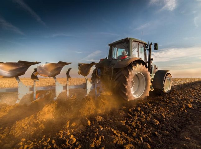 Аграрії Закарпаття можуть отримати допомогу від держави
