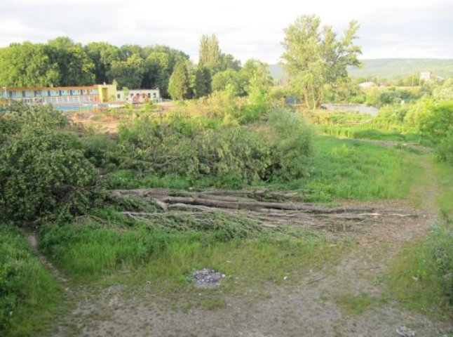 В Ужгороді зрізаними деревами завалили вузькоколійку