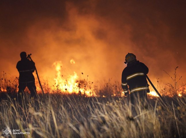 Горів сухостій: рятувальники 11 годин гасили масштабну пожежу