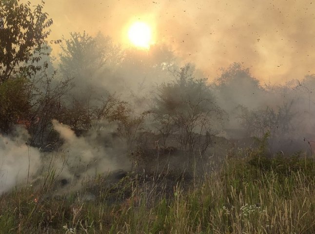 Понад 8 годин рятувальники гасили пожежу на Виноградівщині