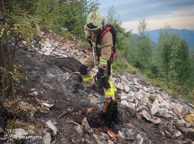 Рятувальники приборкали лісову пожежу на Хустщині