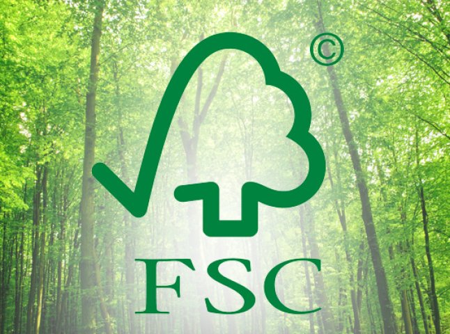 Лісові господарства Закарпаття ведуться згідно європейських стандартів