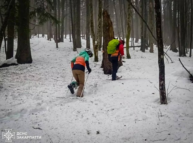 Знайдено туристів, які зникли в Карпатах, катаючись на лижах та сноуборді