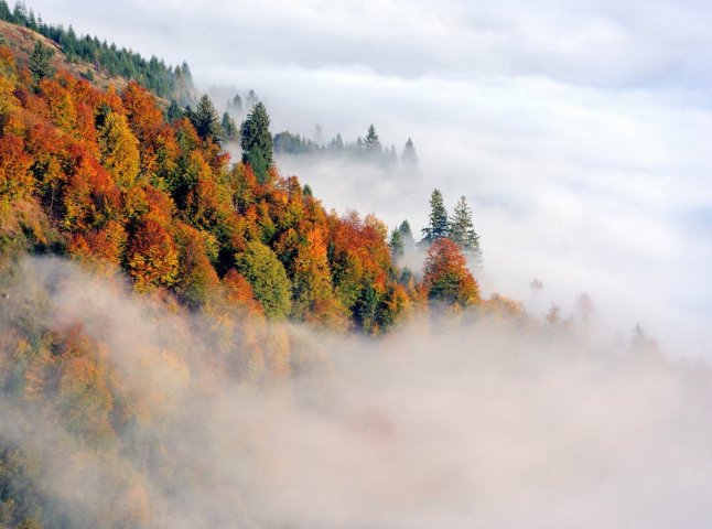 Закарпатський гідрометцентр попереджає про туман та зниження температури
