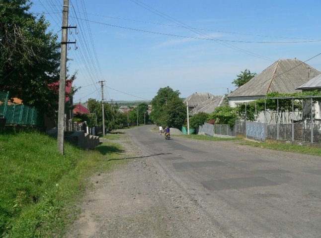 Ремонт дороги та нестача питної води: на Мукачівщині обговорили проблеми села Залужжя
