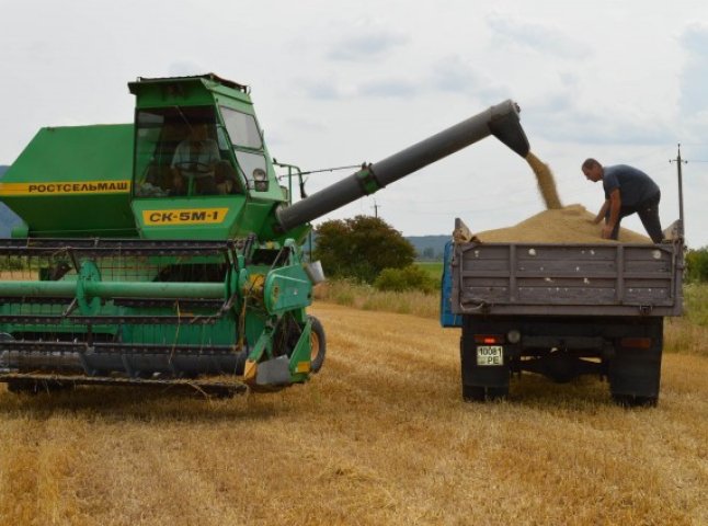 На Іршавщині вже розпочалися жнива озимої пшениці