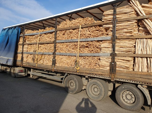 Закарпатські митники припинили незаконне вивезення двох вантажівок з лісоматеріалами
