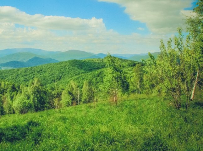 Туристичний збір на Закарпатті: скільки коштів надійшло в 2025 році